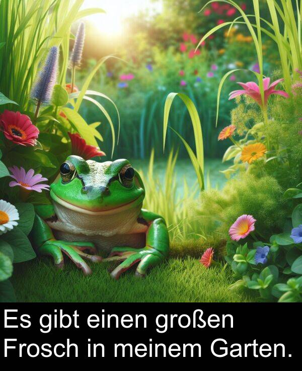 Frosch: Es gibt einen großen Frosch in meinem Garten.