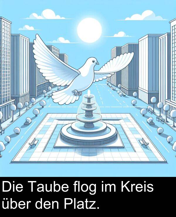 den: Die Taube flog im Kreis über den Platz.