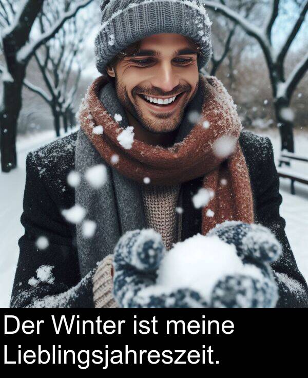 Winter: Der Winter ist meine Lieblingsjahreszeit.