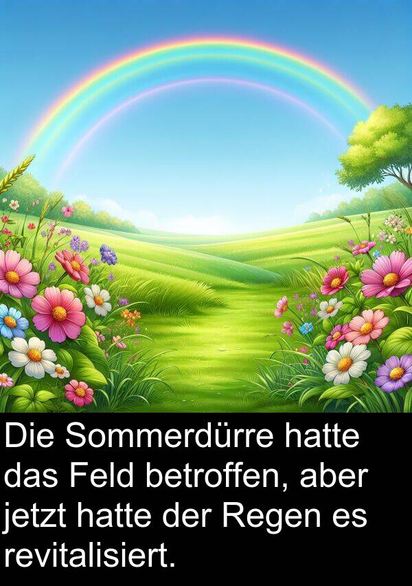 jetzt: Die Sommerdürre hatte das Feld betroffen, aber jetzt hatte der Regen es revitalisiert.