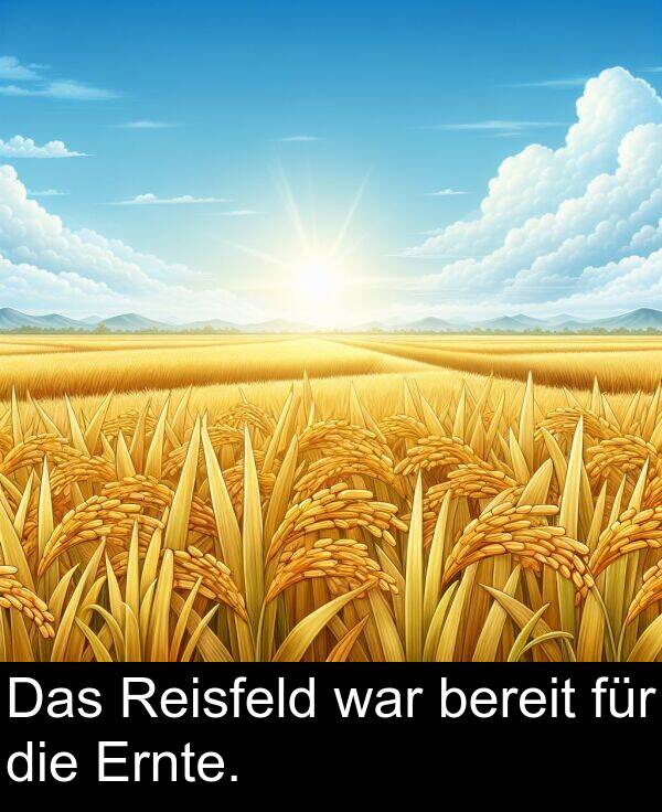 Das: Das Reisfeld war bereit für die Ernte.