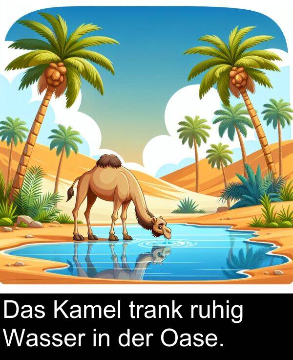Das: Das Kamel trank ruhig Wasser in der Oase.
