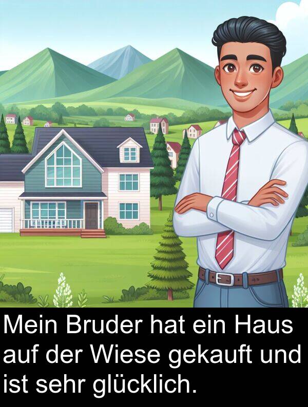 Wiese: Mein Bruder hat ein Haus auf der Wiese gekauft und ist sehr glücklich.