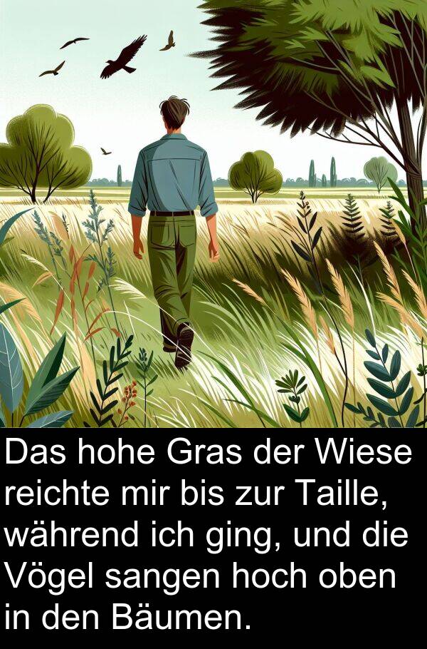 Taille: Das hohe Gras der Wiese reichte mir bis zur Taille, während ich ging, und die Vögel sangen hoch oben in den Bäumen.