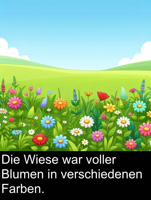 Farben: Die Wiese war voller Blumen in verschiedenen Farben.
