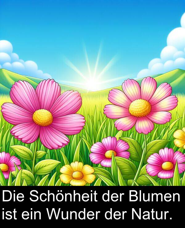 Blumen: Die Schönheit der Blumen ist ein Wunder der Natur.