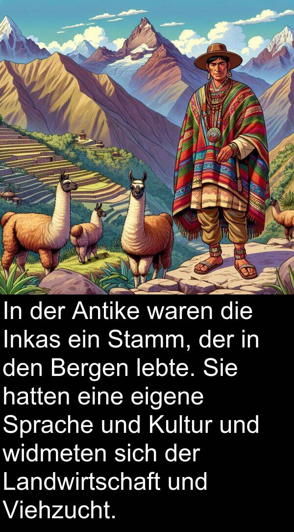 widmeten: In der Antike waren die Inkas ein Stamm, der in den Bergen lebte. Sie hatten eine eigene Sprache und Kultur und widmeten sich der Landwirtschaft und Viehzucht.