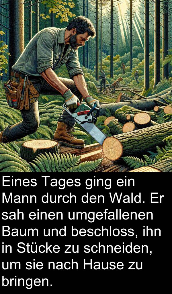 Wald: Eines Tages ging ein Mann durch den Wald. Er sah einen umgefallenen Baum und beschloss, ihn in Stücke zu schneiden, um sie nach Hause zu bringen.