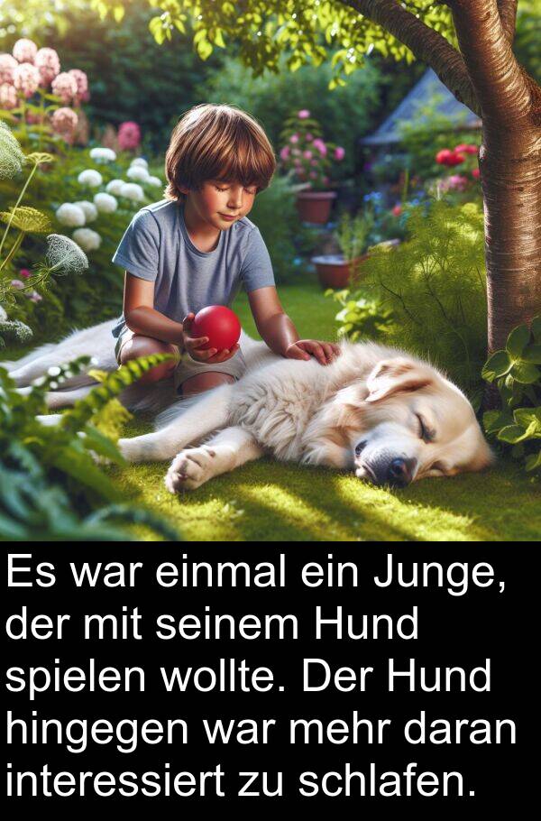 daran: Es war einmal ein Junge, der mit seinem Hund spielen wollte. Der Hund hingegen war mehr daran interessiert zu schlafen.
