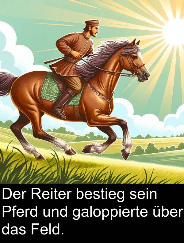Feld: Der Reiter bestieg sein Pferd und galoppierte über das Feld.