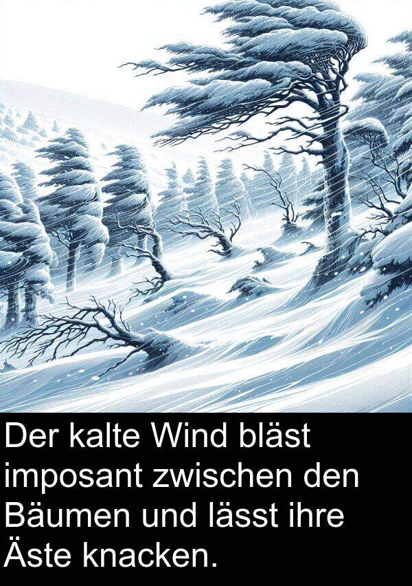 Wind: Der kalte Wind bläst imposant zwischen den Bäumen und lässt ihre Äste knacken.