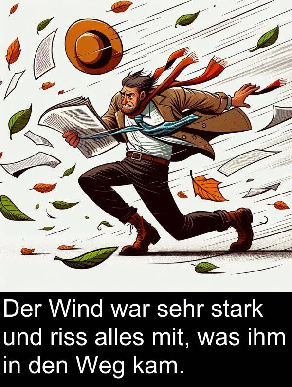 Wind: Der Wind war sehr stark und riss alles mit, was ihm in den Weg kam.