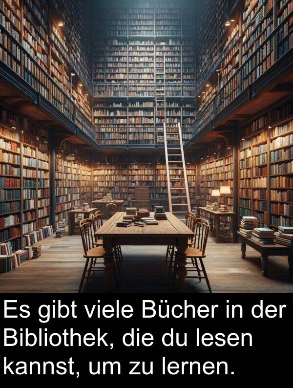 lernen: Es gibt viele Bücher in der Bibliothek, die du lesen kannst, um zu lernen.