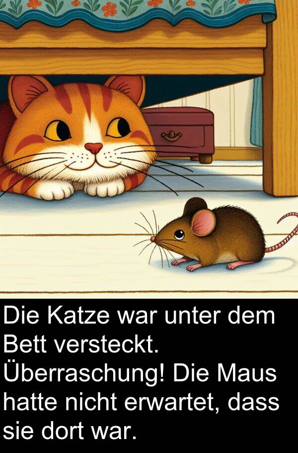 unter: Die Katze war unter dem Bett versteckt. Überraschung! Die Maus hatte nicht erwartet, dass sie dort war.