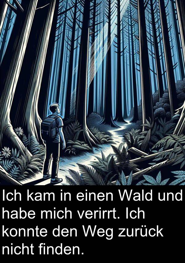 Wald: Ich kam in einen Wald und habe mich verirrt. Ich konnte den Weg zurück nicht finden.