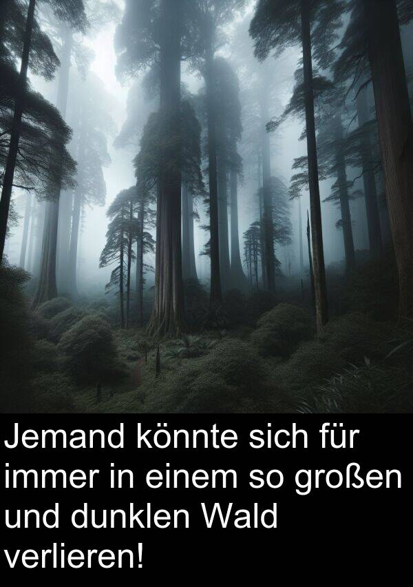 Wald: Jemand könnte sich für immer in einem so großen und dunklen Wald verlieren!