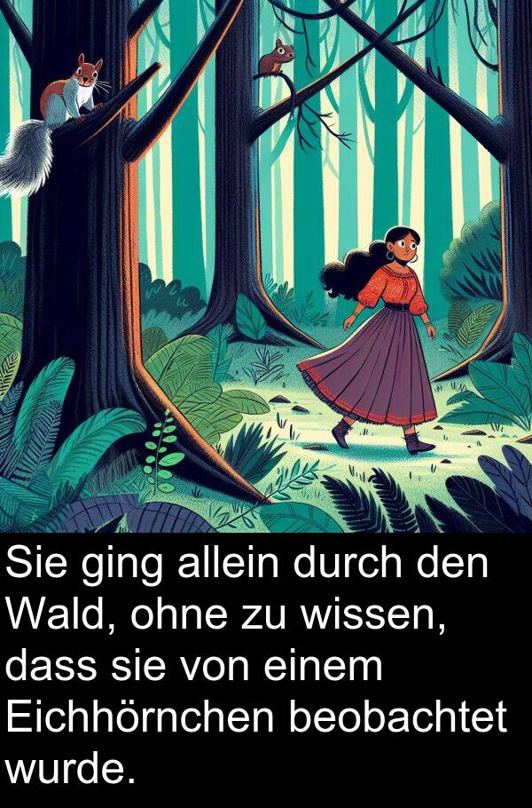 Wald: Sie ging allein durch den Wald, ohne zu wissen, dass sie von einem Eichhörnchen beobachtet wurde.