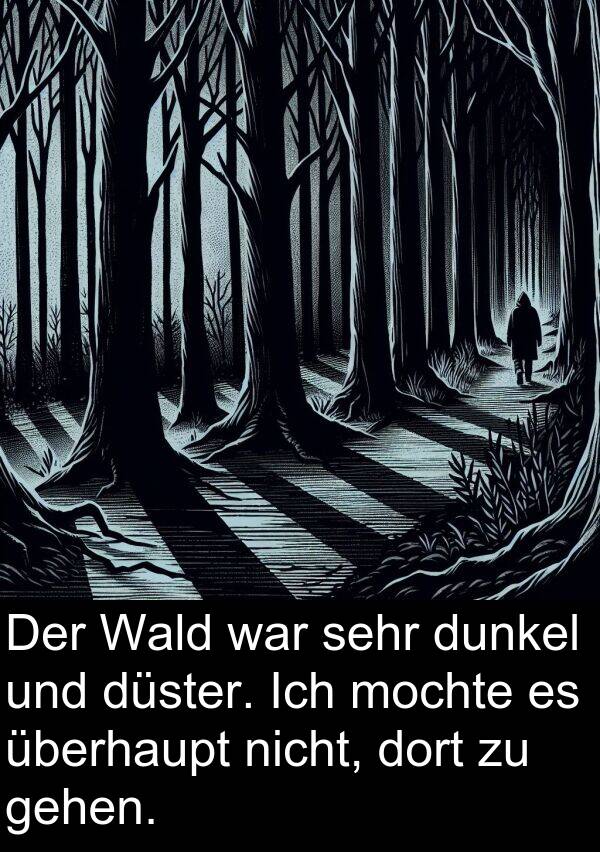 Wald: Der Wald war sehr dunkel und düster. Ich mochte es überhaupt nicht, dort zu gehen.