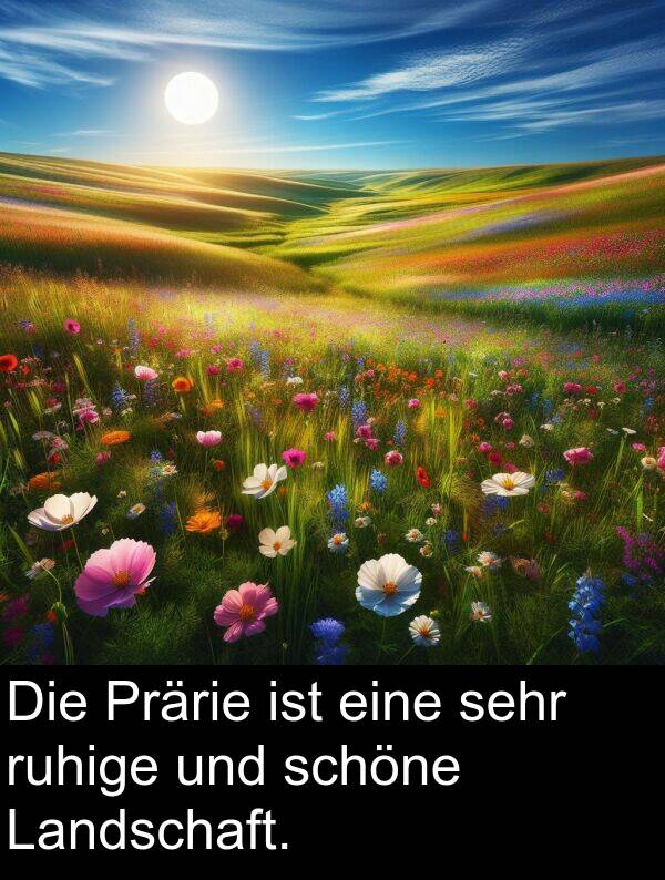 ruhige: Die Prärie ist eine sehr ruhige und schöne Landschaft.