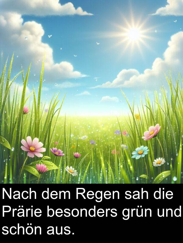 Nach: Nach dem Regen sah die Prärie besonders grün und schön aus.
