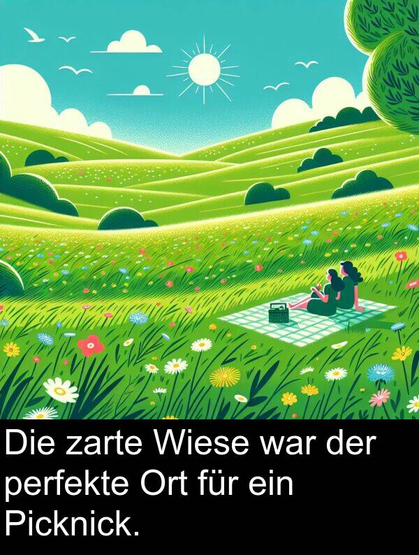 Wiese: Die zarte Wiese war der perfekte Ort für ein Picknick.