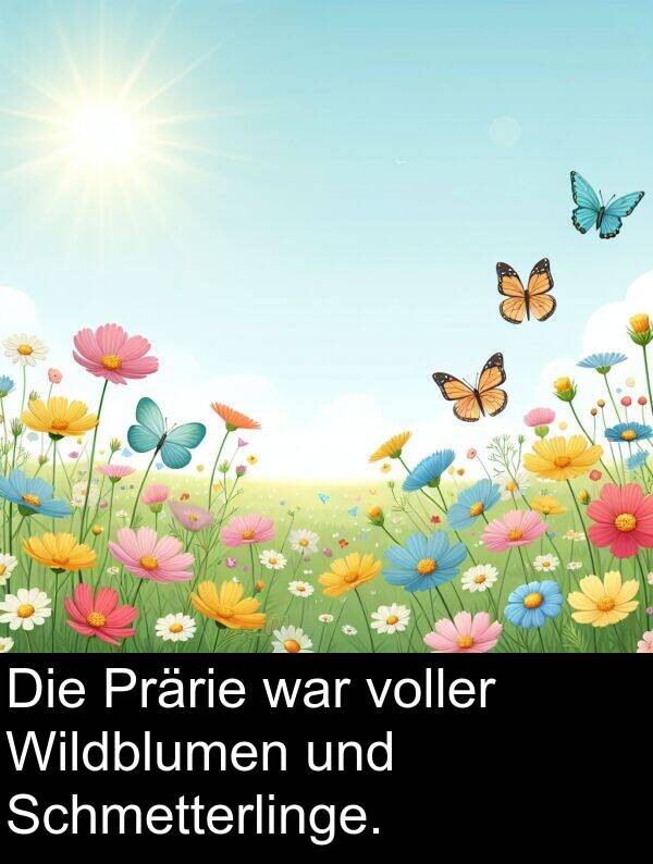 Wildblumen: Die Prärie war voller Wildblumen und Schmetterlinge.