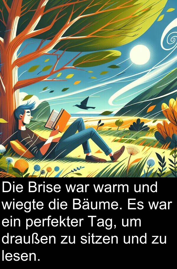 wiegte: Die Brise war warm und wiegte die Bäume. Es war ein perfekter Tag, um draußen zu sitzen und zu lesen.