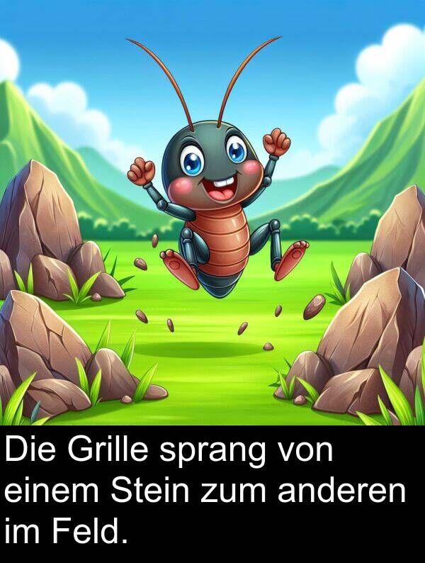 Feld: Die Grille sprang von einem Stein zum anderen im Feld.