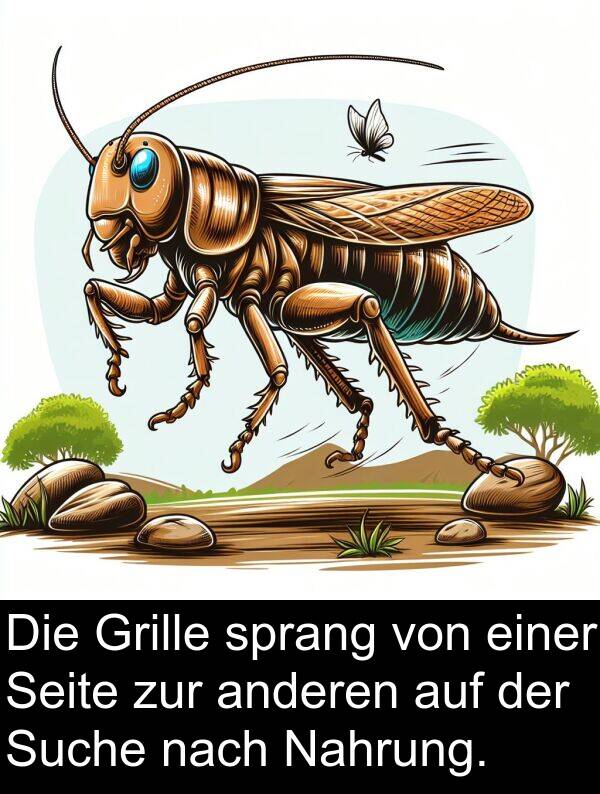 Suche: Die Grille sprang von einer Seite zur anderen auf der Suche nach Nahrung.