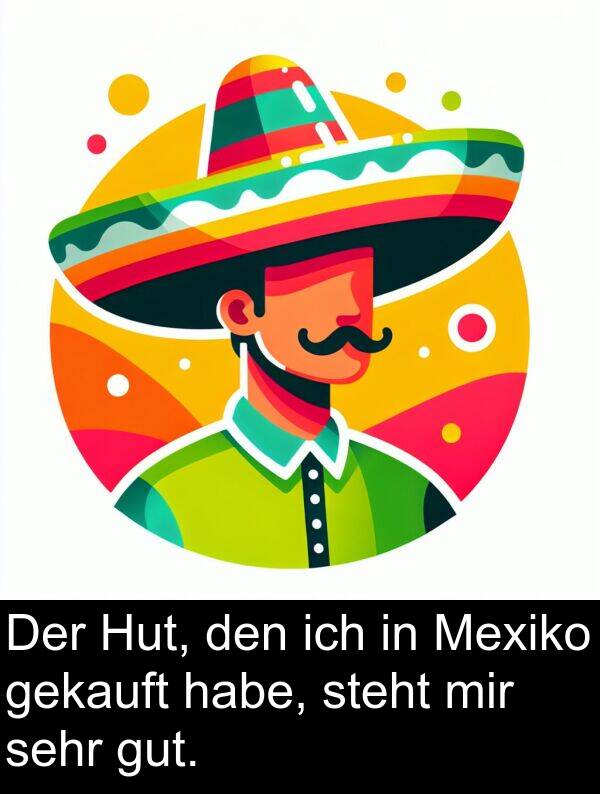 Hut: Der Hut, den ich in Mexiko gekauft habe, steht mir sehr gut.