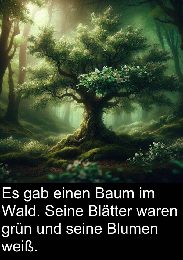 Wald: Es gab einen Baum im Wald. Seine Blätter waren grün und seine Blumen weiß.