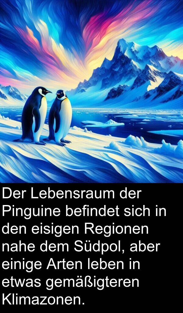 Südpol: Der Lebensraum der Pinguine befindet sich in den eisigen Regionen nahe dem Südpol, aber einige Arten leben in etwas gemäßigteren Klimazonen.