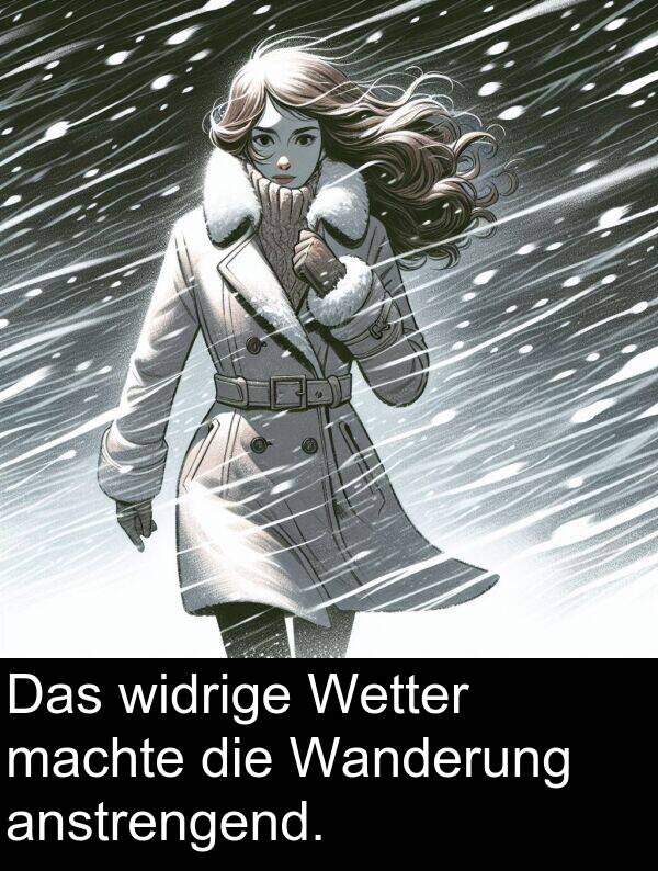 widrige: Das widrige Wetter machte die Wanderung anstrengend.