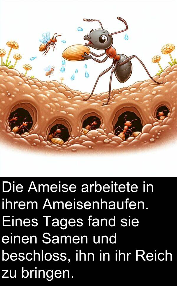 fand: Die Ameise arbeitete in ihrem Ameisenhaufen. Eines Tages fand sie einen Samen und beschloss, ihn in ihr Reich zu bringen.
