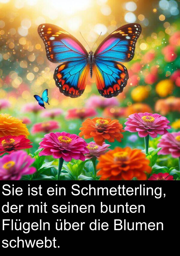 Blumen: Sie ist ein Schmetterling, der mit seinen bunten Flügeln über die Blumen schwebt.