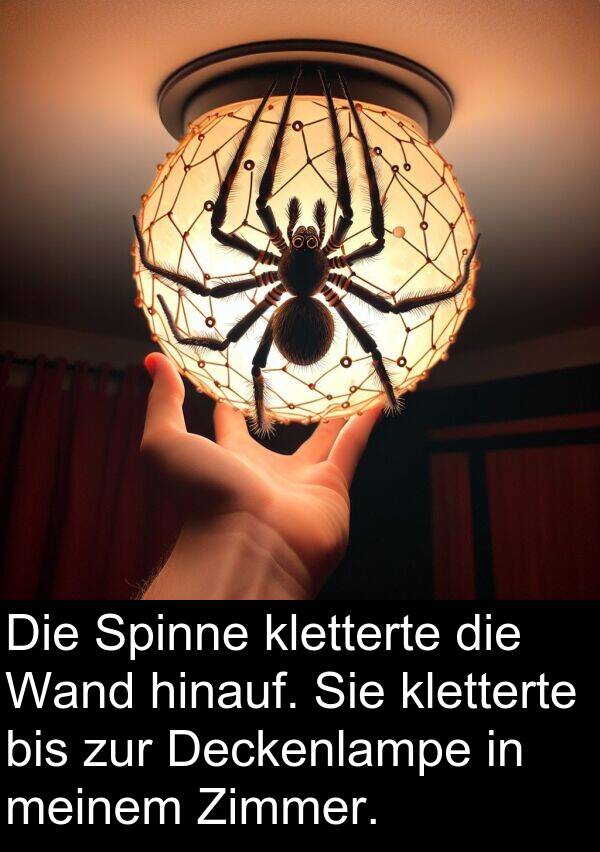 Wand: Die Spinne kletterte die Wand hinauf. Sie kletterte bis zur Deckenlampe in meinem Zimmer.