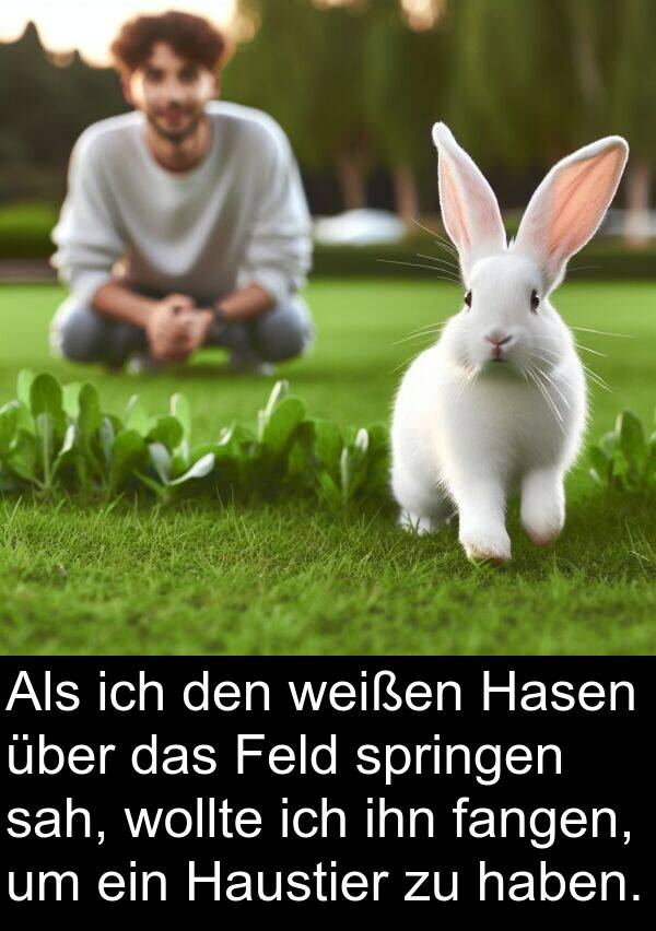 fangen: Als ich den weißen Hasen über das Feld springen sah, wollte ich ihn fangen, um ein Haustier zu haben.