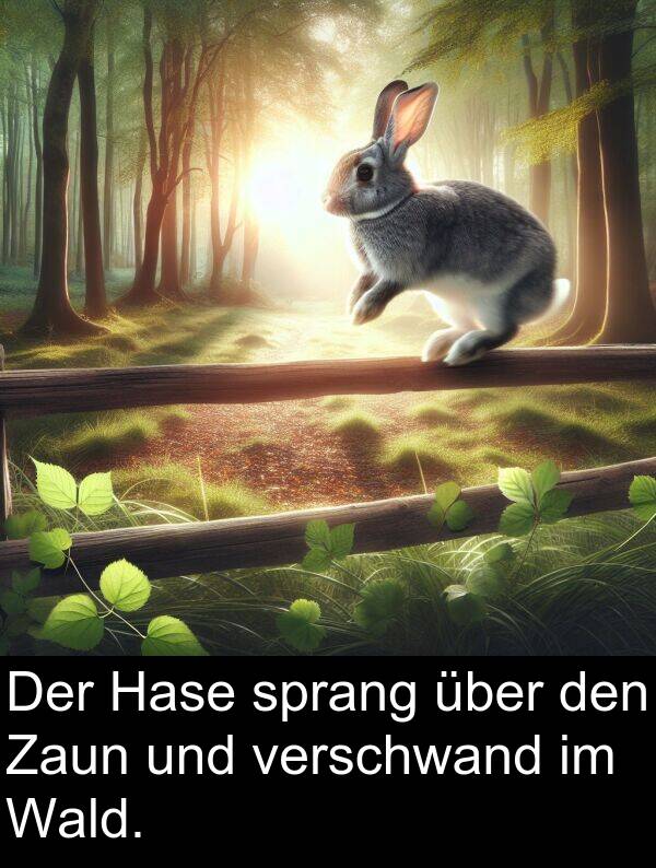 Wald: Der Hase sprang über den Zaun und verschwand im Wald.