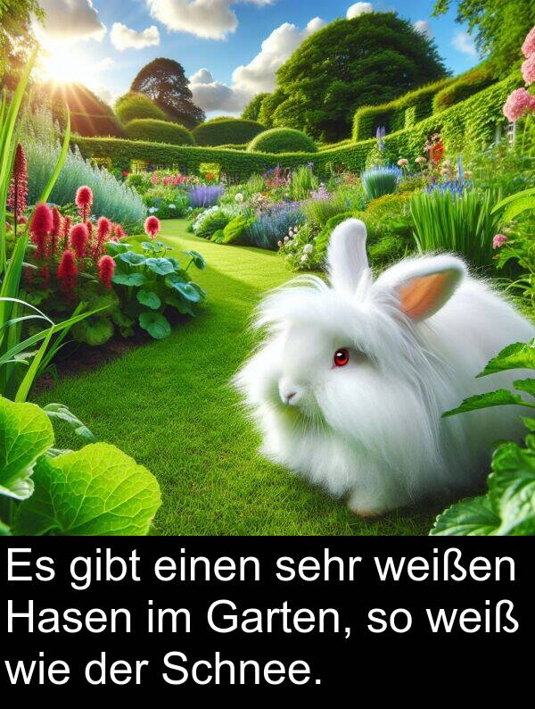 wie: Es gibt einen sehr weißen Hasen im Garten, so weiß wie der Schnee.