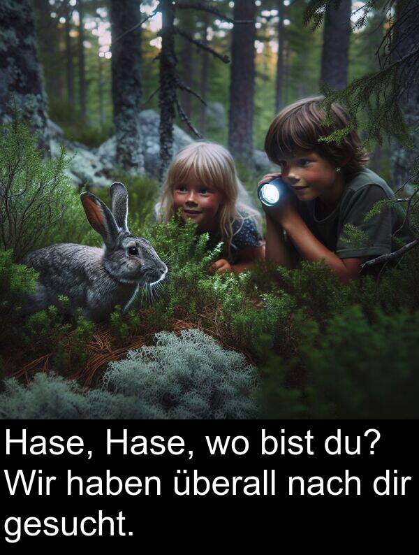 nach: Hase, Hase, wo bist du? Wir haben überall nach dir gesucht.