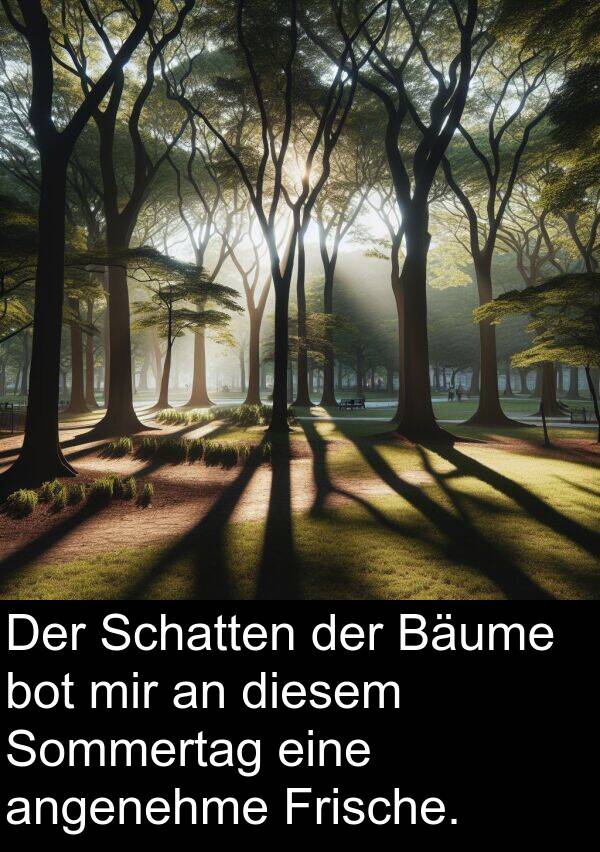 Frische: Der Schatten der Bäume bot mir an diesem Sommertag eine angenehme Frische.