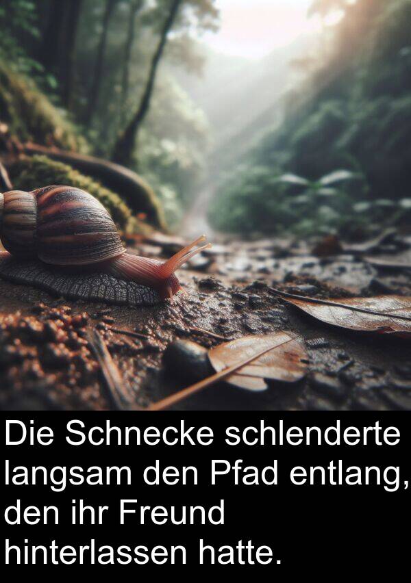 hinterlassen: Die Schnecke schlenderte langsam den Pfad entlang, den ihr Freund hinterlassen hatte.