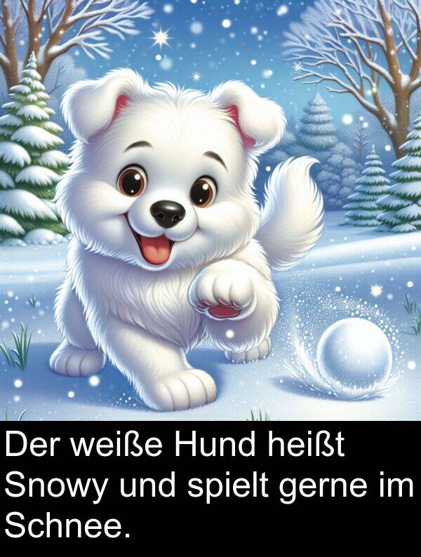 spielt: Der weiße Hund heißt Snowy und spielt gerne im Schnee.