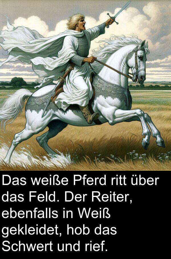Feld: Das weiße Pferd ritt über das Feld. Der Reiter, ebenfalls in Weiß gekleidet, hob das Schwert und rief.