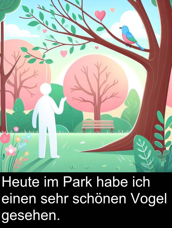 gesehen: Heute im Park habe ich einen sehr schönen Vogel gesehen.