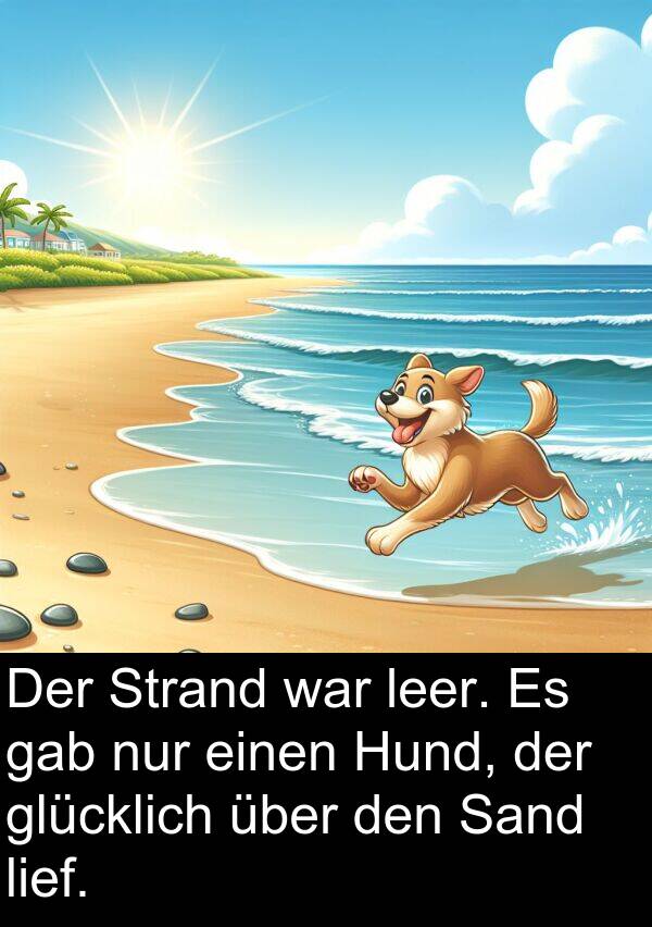 Hund: Der Strand war leer. Es gab nur einen Hund, der glücklich über den Sand lief.