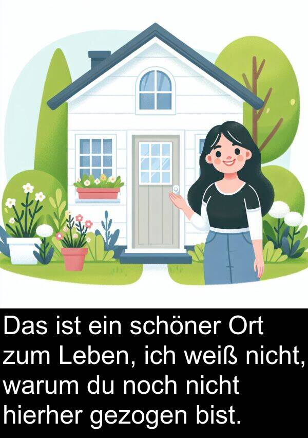 gezogen: Das ist ein schöner Ort zum Leben, ich weiß nicht, warum du noch nicht hierher gezogen bist.