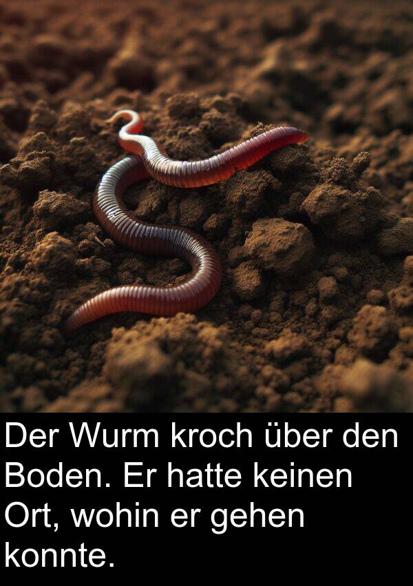 konnte: Der Wurm kroch über den Boden. Er hatte keinen Ort, wohin er gehen konnte.