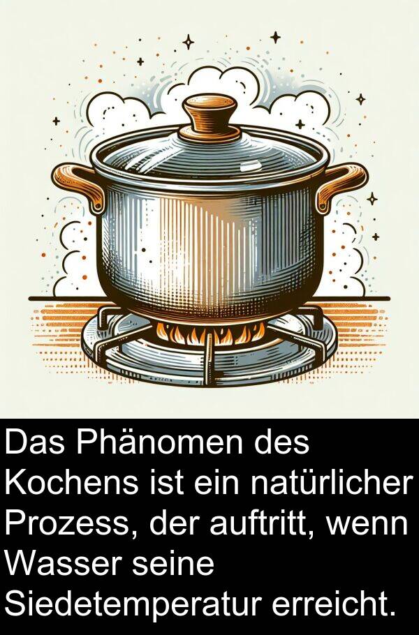 Prozess: Das Phänomen des Kochens ist ein natürlicher Prozess, der auftritt, wenn Wasser seine Siedetemperatur erreicht.