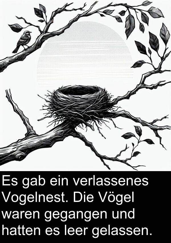 waren: Es gab ein verlassenes Vogelnest. Die Vögel waren gegangen und hatten es leer gelassen.